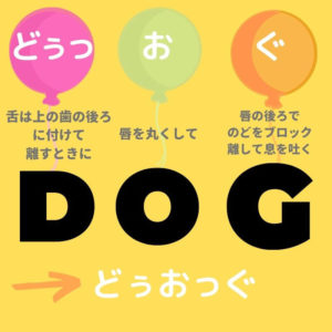 dogの発音